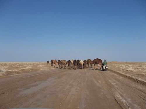 Er ging hin und zurueck