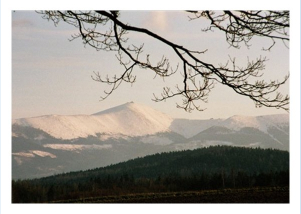 007 April 08-C1 Rand