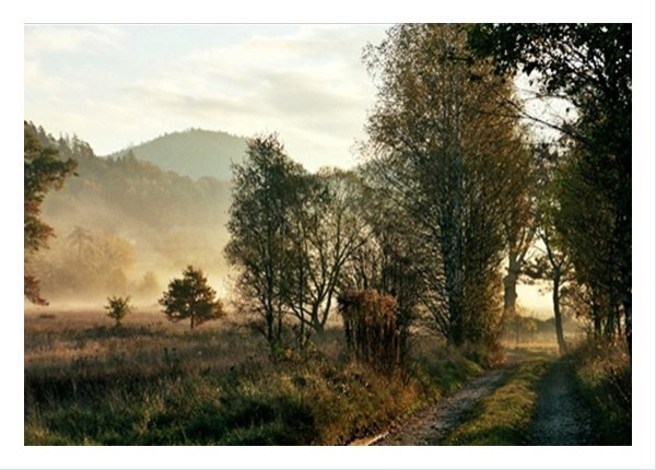 044- Okt. 08 C2-1 Rand