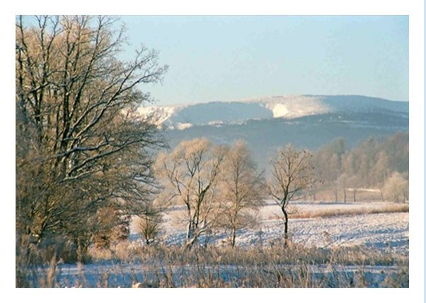 049 Jan. 09 C5-1 Rand