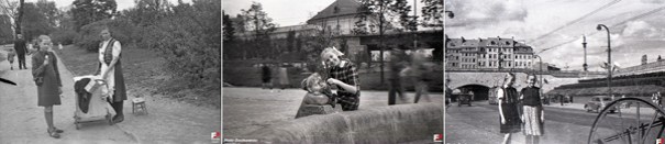 3zdjecia-wpisVikiKorb