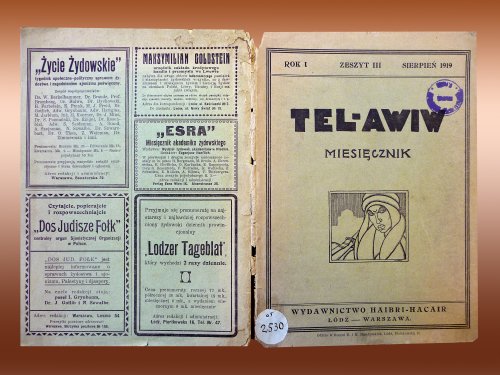 4b_Tel_Awiw_3_August_1919_vignette_Szyk