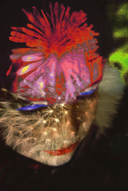 Sandwichfotos 032.2.web