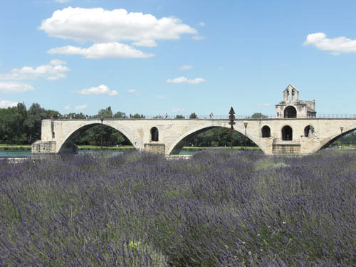 lavendaavignon