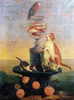 Amanzia-koty-juz-raz-bylo