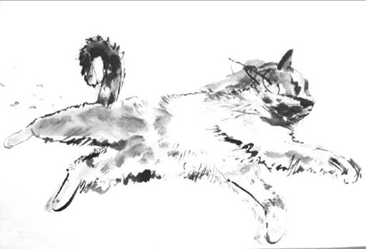 Krzysztof Figielski kotek