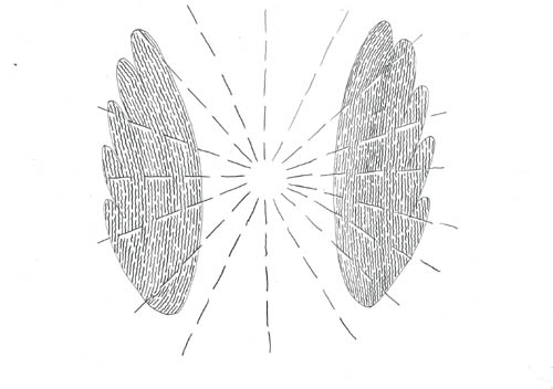 ilustracja do moich wierszy 4