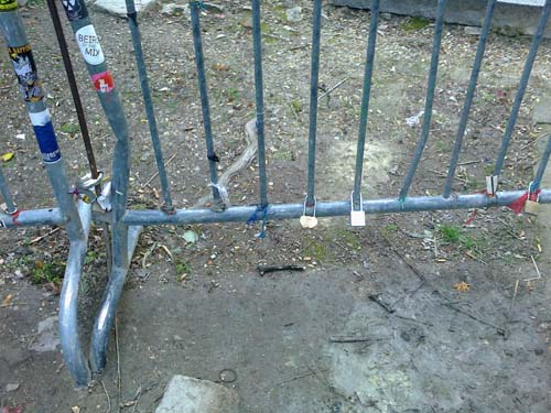 morrisson-dalsze (4)