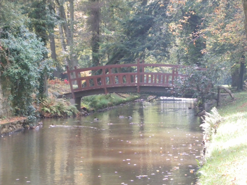 SAMSUNG DIGITAL CAMERA