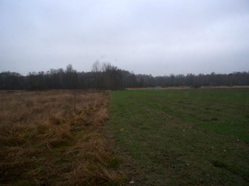 olesin-domniemane-stawy