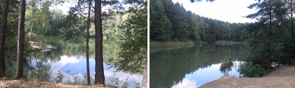 Wyrobisko-znowu-wyrobisko