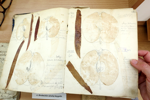 Wielkanoc_Hrebnicki_oryginal_atlasu_1