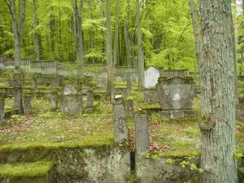 cmentarz-dziewczyna-zagadka (02)