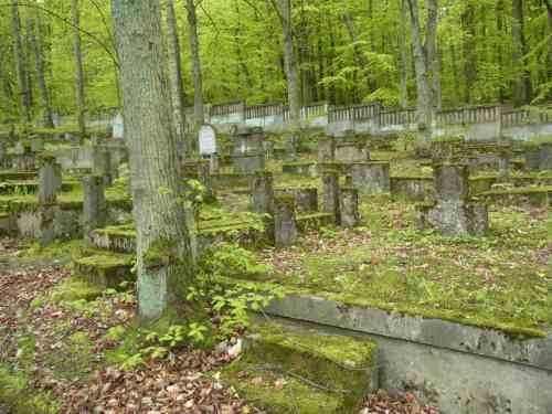 cmentarz-dziewczyna-zagadka (03)