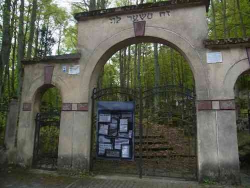 cmentarz-dziewczyna-zagadka (11)