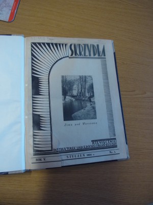 skrzydla-karusia (2)