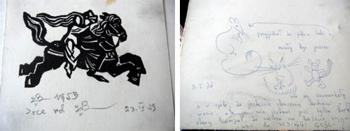 mysz-w-ksiazce-gosci (2)