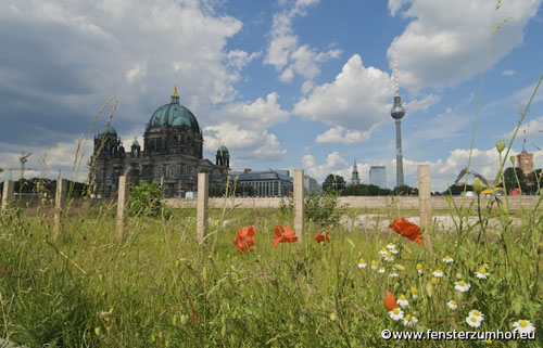 berlin-wiese-schlossplatz-mitte