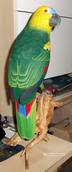 hand_geschnizter_holzpapagei_1_lgw