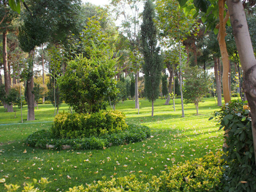 Isfahan-planty