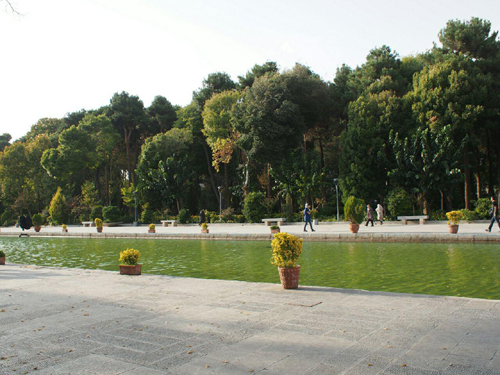 Isfahan-planty2