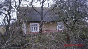 ostrow (7)