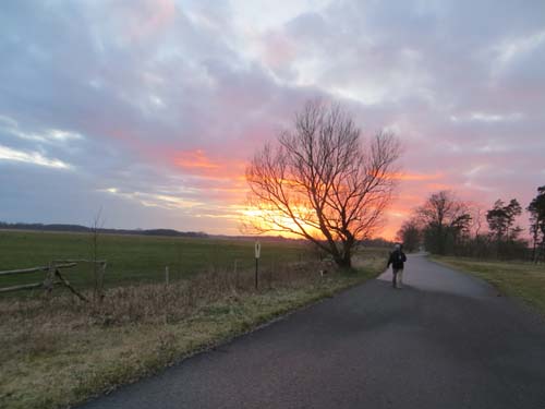 dropy-trappen (zachod01)