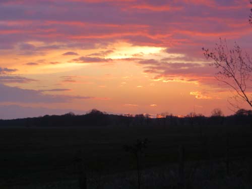 dropy-trappen (zachod02)