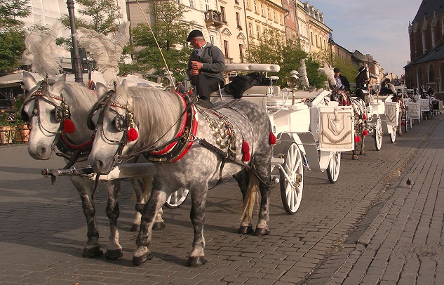 Krakauer Wagenfahrer, fot. © Arkadiusz Łuba